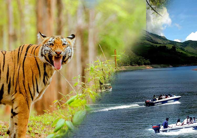 book-now-Tekkady Tour